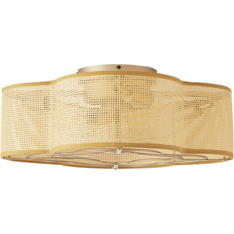 Ventilateur de plafond 20 "avec lumière Boho, ventilateur encastré en rotin avec télécommande, cage fermée avec 6 vitesses pour chambre à coucher, salon, vestibule, chambre de bébé