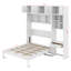 Lit escamotable double pleine grandeur avec bureau