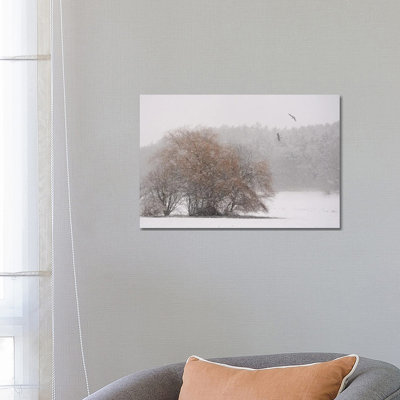 Winter Symphony by Lena Weisbek - Wrapped Canvas Print