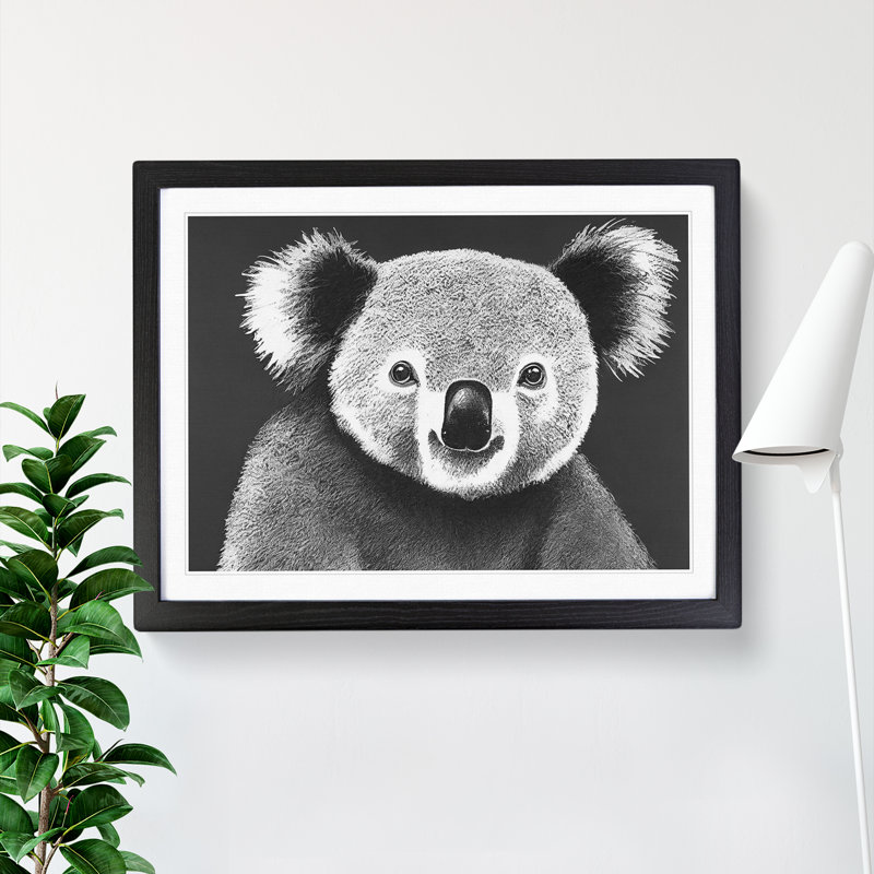 Koala Bear - Framed Print, Black Framed, 25cm H x 34cm W