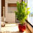 High quality ceramic flowerpot-57594643
