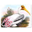 Vinage, animaux de campagne I - impression sur toile-59761796-59761798