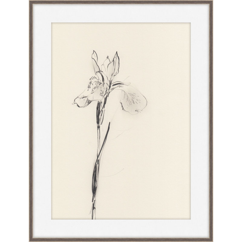 Iris 1 Print by Claudia Lowry, 38.25" H x 30.25" W