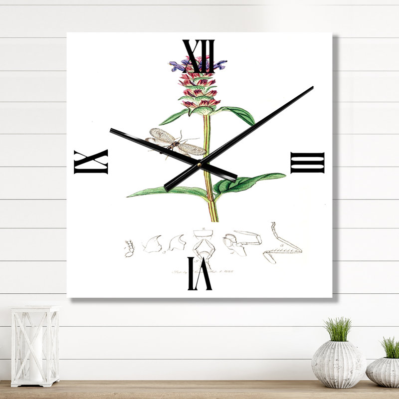 Vintage Insectes and Plants II - Horloge murale de ferme, Grand