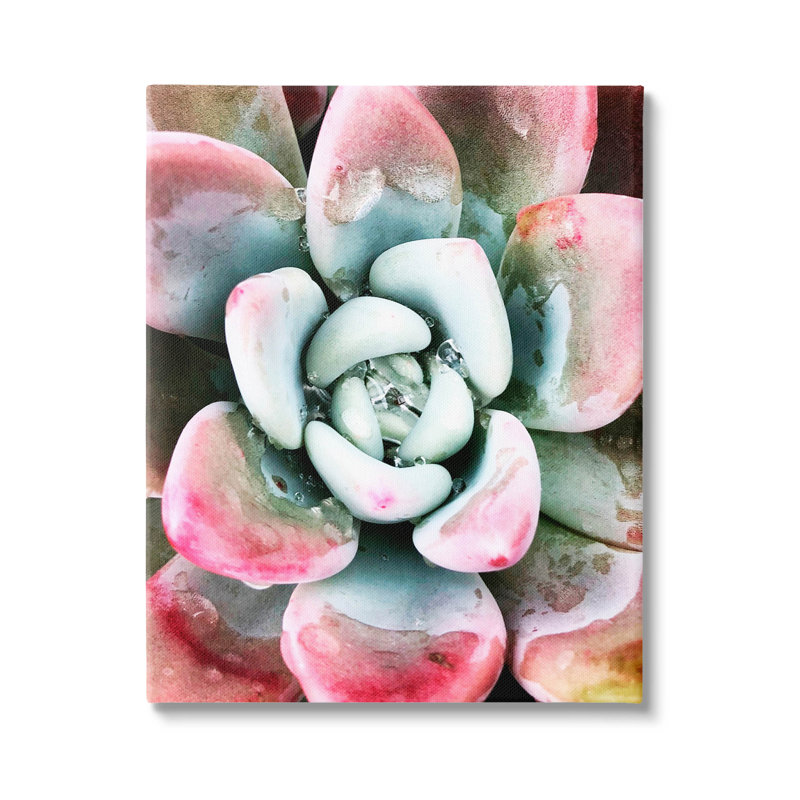 Plante grasse, gouttelette de pluie, estampe numérique par Irena Orlov, H 40 po x l 30 po x P 1,5 po, Toile tendue