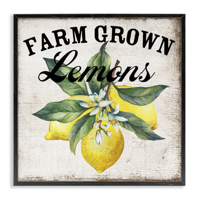 Farm Grown Lemons Giclee Art by Creatif Belle