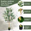 2 pièces d'arbre artificiel d'eucalyptus artificiel de 5,5 pi pour le bureau du salon