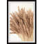 Wheat Sheaves II 1 Piece Single Picture Frame Painting-565367430