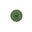 Woods Earthenware Salad/Dessert Plate