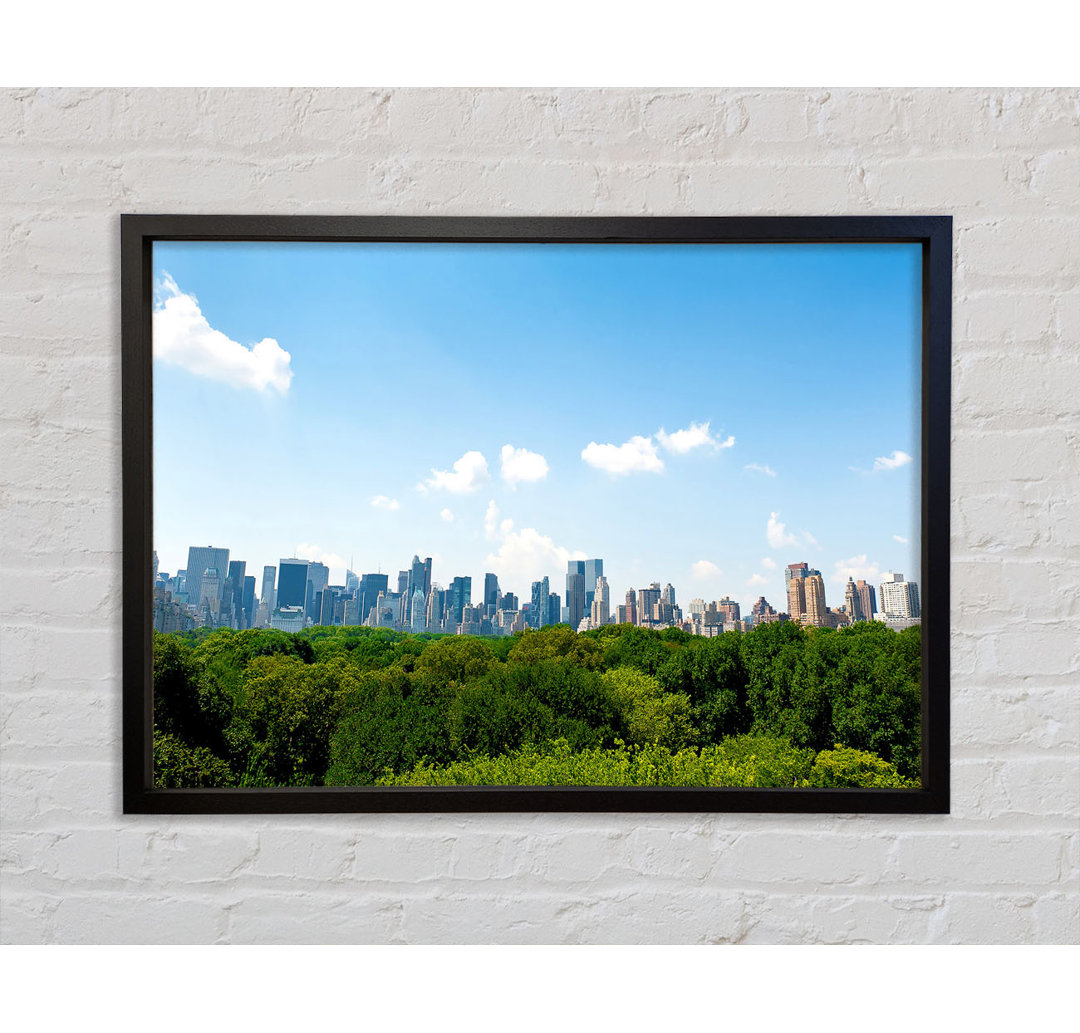 Central Park New York City - Einzelbildrahmen Kunstdrucke auf Leinwand