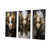 Toile tendue