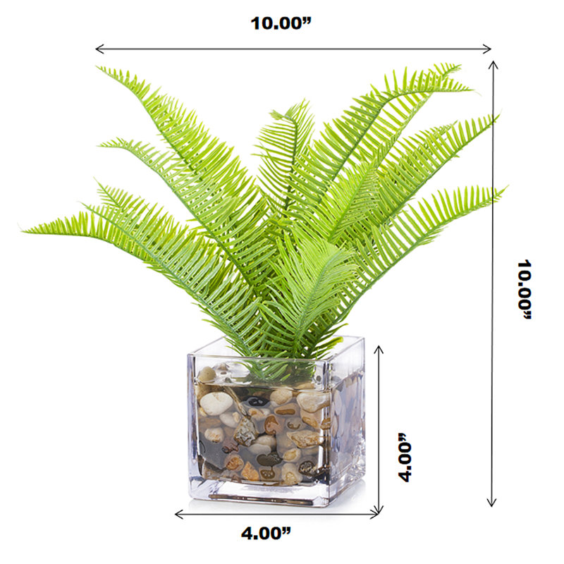Fougère artificielle dans un vase en verre cube