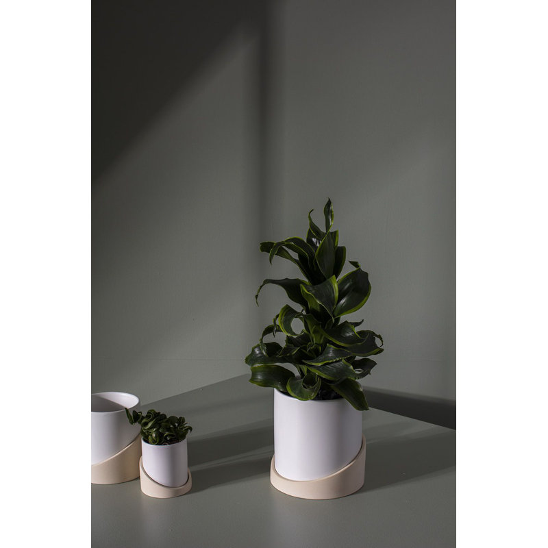 Pot à fleurs en céramique Mel, H 5,5 po x l 4,75 po x P 4,75 po