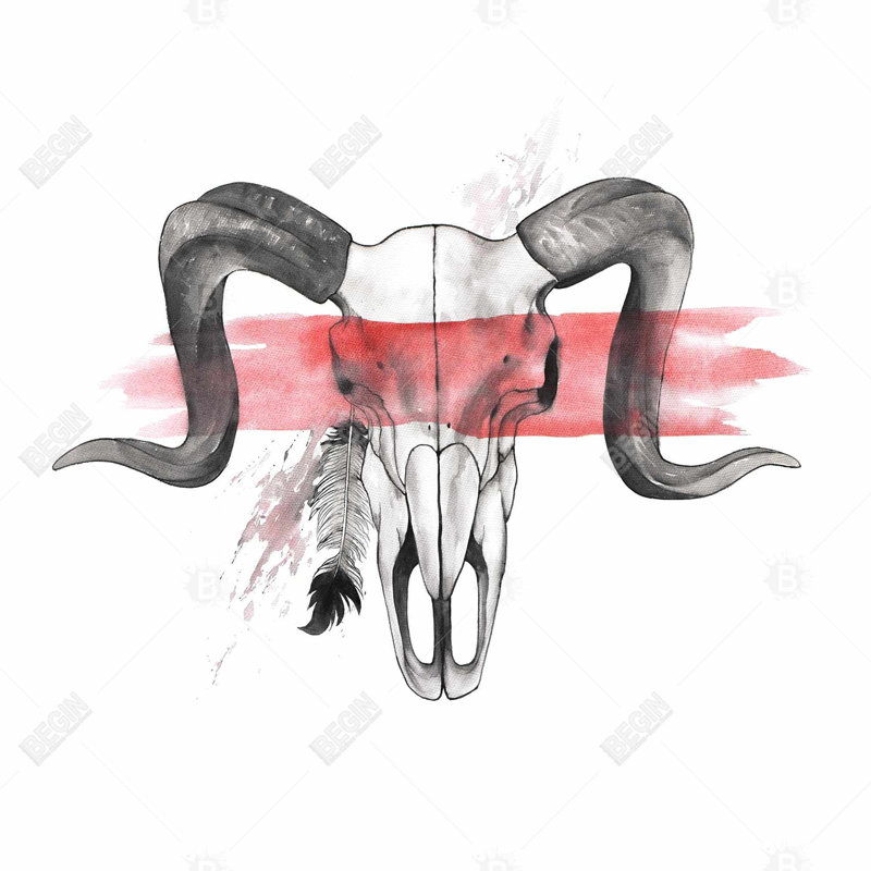 «Aries Skull With Feather»