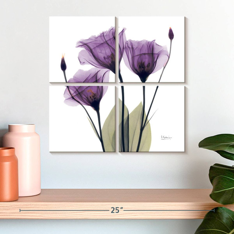 Trio de gentiane mauve Harnek Royal