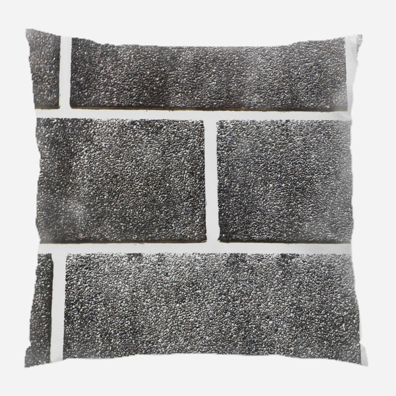 Coussin décoratif briques