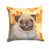 Fawn Pug