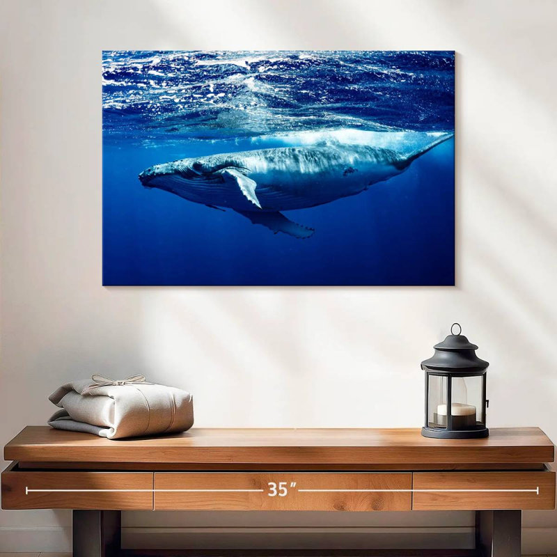 Brampt Humpback Whale Below Surface, 16'' H x 24'' W