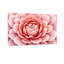 Plantes et fleurs, impression de motif floral rose-589245596