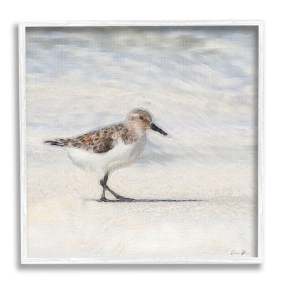 «Sandpiper Bird», plage de sable encadrée, estampe numérique par Denise Brown_aq-474