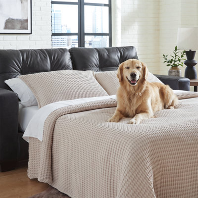 Brakefield Queen Sofa Sleeper