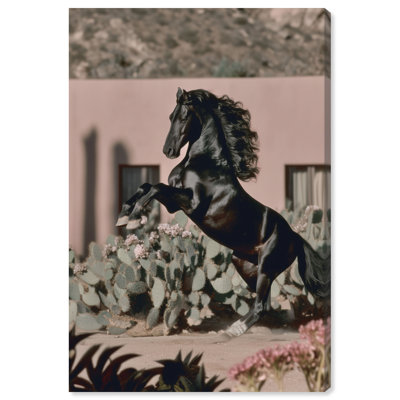 Thorny Throne Animals Canvas Print by Oliver Gal, Black Frame, 10 x 15