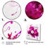 «Viva Magenta Secret Wispers III», reproduction sur toile 3 pièces-87538224-87538225