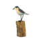 Figurine sculpture en bois sculptée à la main Wheatear