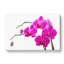 Orchid Flowers Vol.2 - Wrapped Canvas-61842697