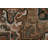 Vintage   Area Rug 7x10
