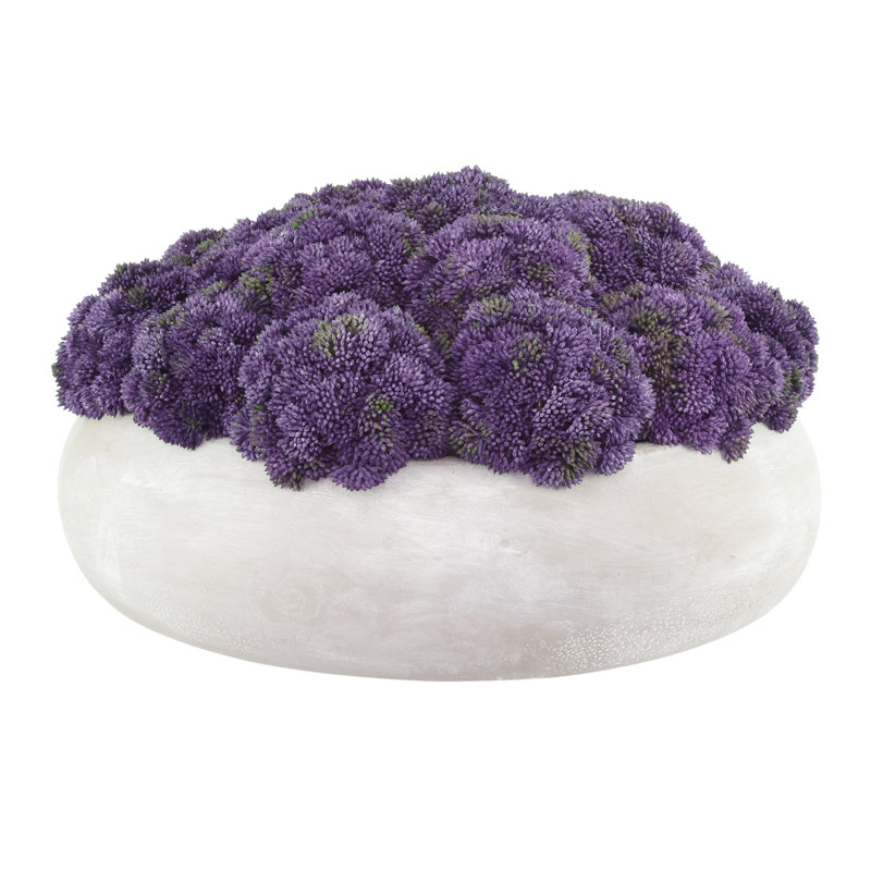 Sedum Arranged in a Stone Planter, 9" H x 15" W x 15" D, Purple