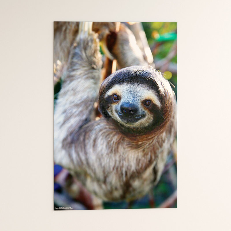 Impression sur papier sourire sloth Esposito