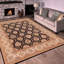 Tapis oriental noir / ivoire en laine 9 pi 4 po x 11 pi 11 po Dorn