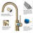 CALBASE Kitchen Bar Faucet for Sink Brushed Gold Single Hole Single Handle  Stainless Steel Hot and Cold Water valve 360° degree rotation with Aerator-119342491