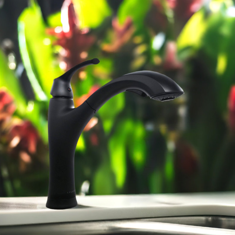 Lulani Maldives Pull Out Single Handle Kitchen Faucet, Matte Black