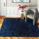 Barbara Solid Colour Shag Area Rug