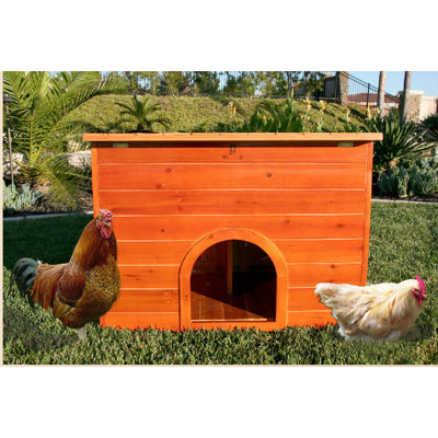 7.6 Square Feet Chicken Coop with Nesting Box For Up To 4 Chickens