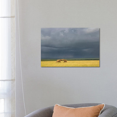 Africa, Kenya, Maasai Mara National Reserve. Storm clouds over elephants at sunset. 1 Piece Wrapped Canvas Wall Art