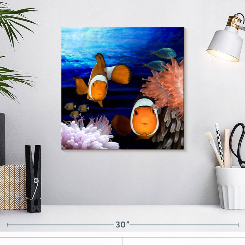 Crowle, créatures de la mer, poisson clown, H 16 po x l 16 po