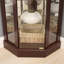 Vitrine d'angle vitrée avec vitrine d'angle