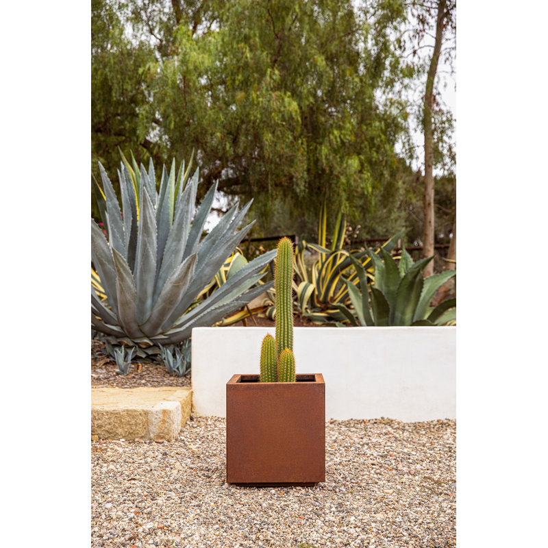 Corten Steel Series Cube Planter Box, 18" H x 17" W x 17" D