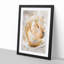 A Peach Yellow Rose in Abstract - Picture Frame Graphic Art Print-55629748-55629751