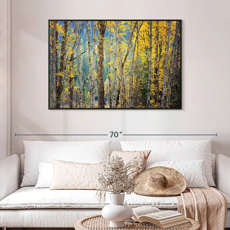 Kootenay Fall II, 46 po x 31 po, Cadre flottant noir
