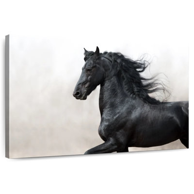 Cheval frison noir