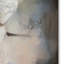 «White Beauty» Vidur, impression sur toile tendue-22071297