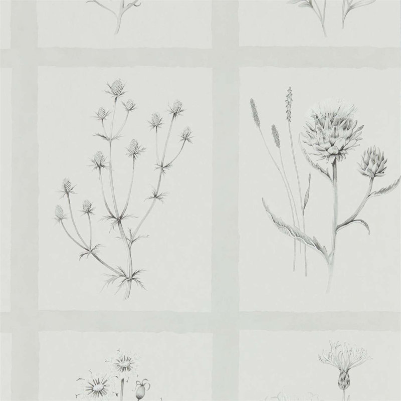 Little Thistles Wallpaper, Pewter
