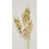 Beige / Brun est en rupture de stock