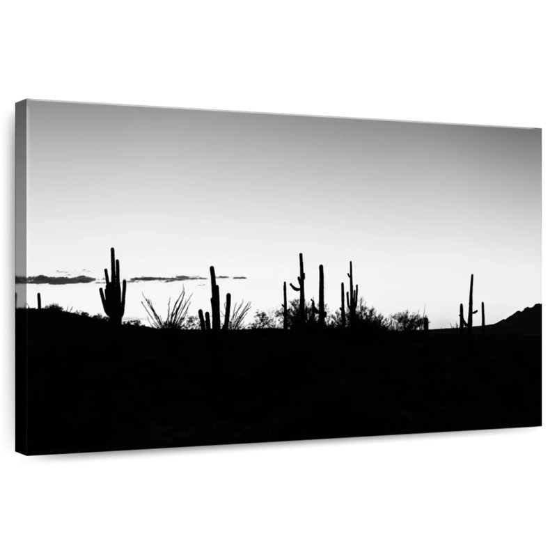 Alvord, Arizona noir - coucher de soleil, cactus, horizon, H 20 po x l 30 po