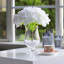 Arrangement d'hortensias dans un vase-1835935733