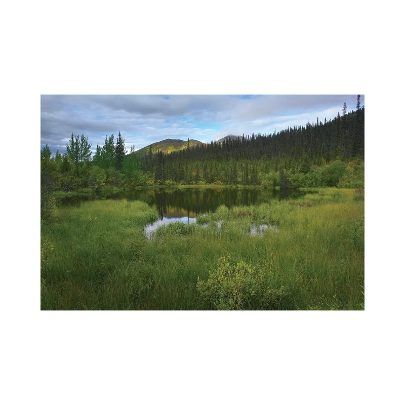 Boreal Forest With Pond And Antimony Mountain In The Background Ogilvie Mountains Yukon Territory CA by Tim Fitzharris - Gallery-Wrapped Canvas Giclée on Canvas